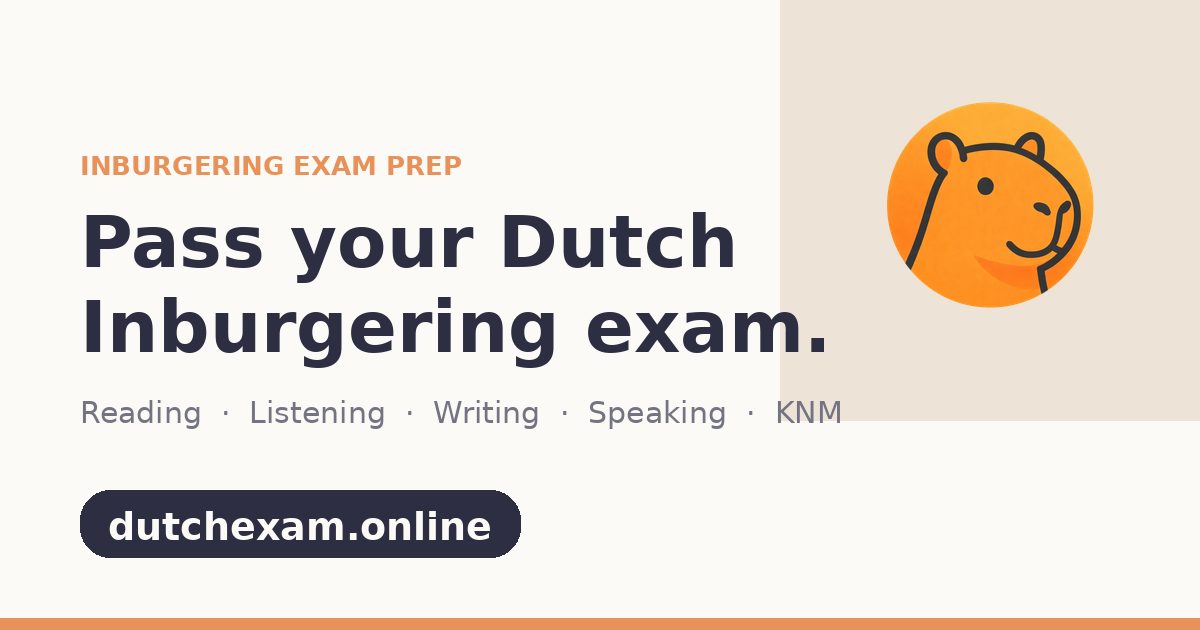 DutchExam, Dutch language school available online