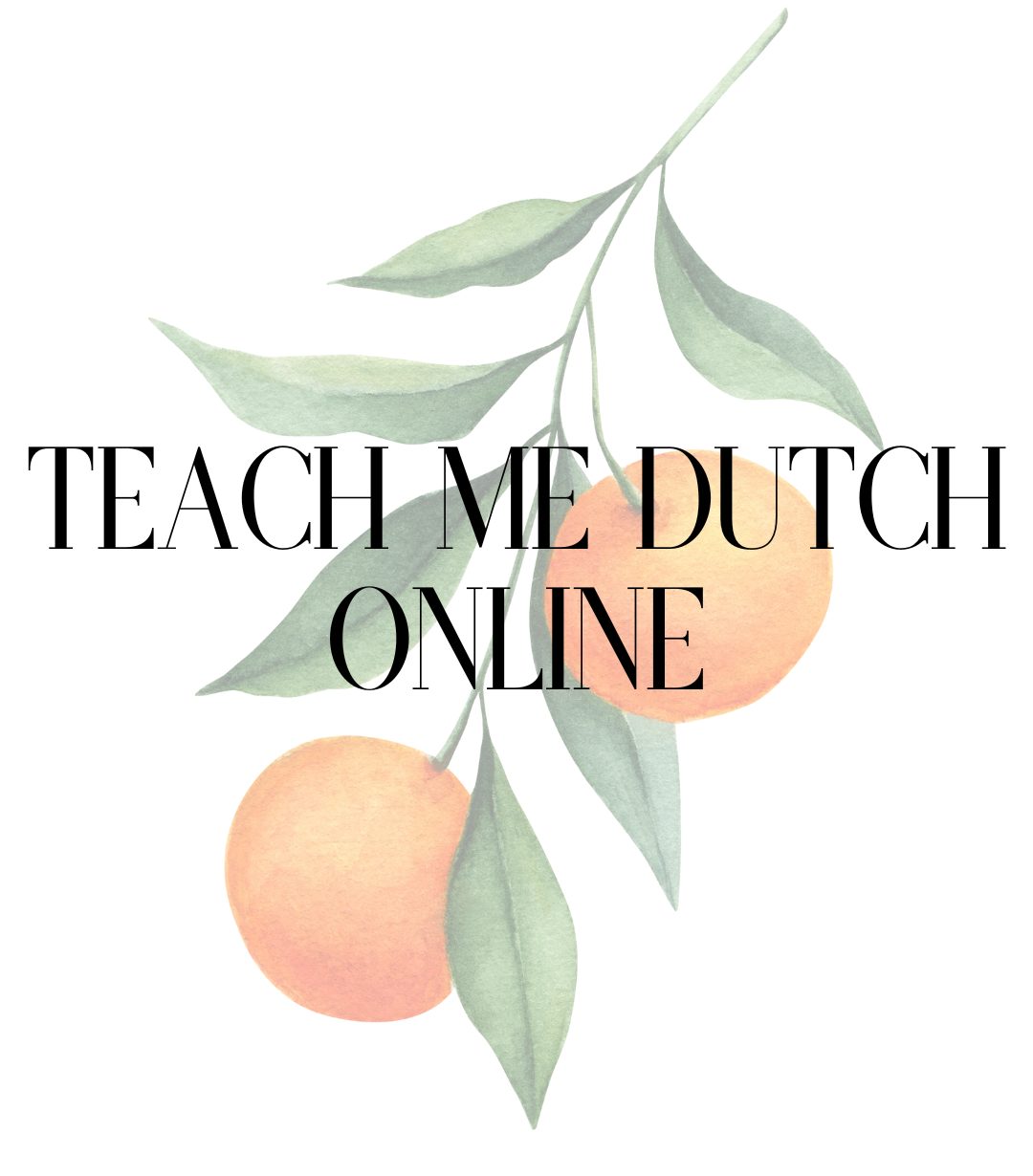 Teach Me Dutch Online, Dutch language school available online