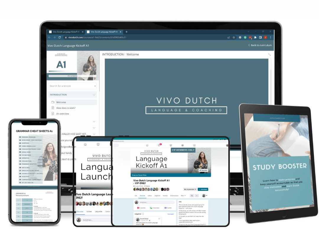 Vivo Dutch, Dutch language school available online